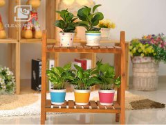 花架如何清潔？花架清潔小妙招